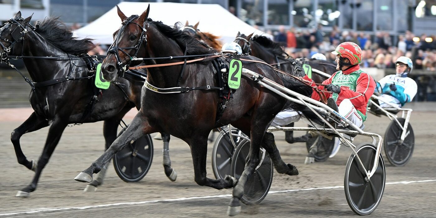 EXTRÊME À LA COURSE D'ÉLITE 2022