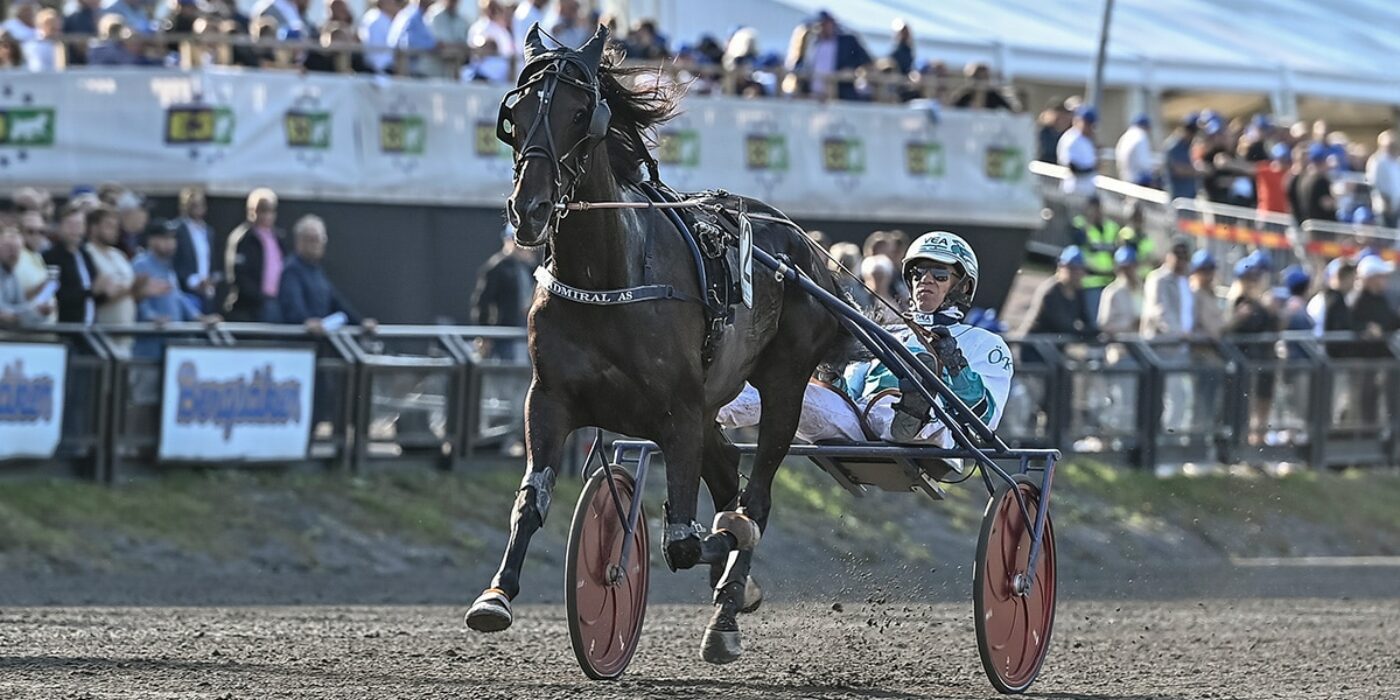 ADMIRAL AS READY FOR THE ELITE RACE IN 2022
