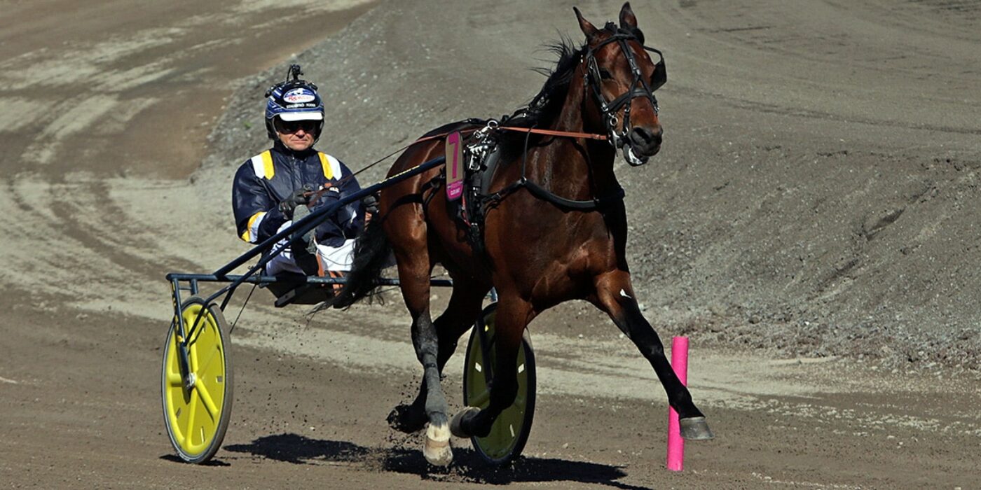 CLICK BAIT WON H.K.H. PRINCE DANIEL'S RACE IN GÄVLE AND IS READY FOR THE ELITE RACE