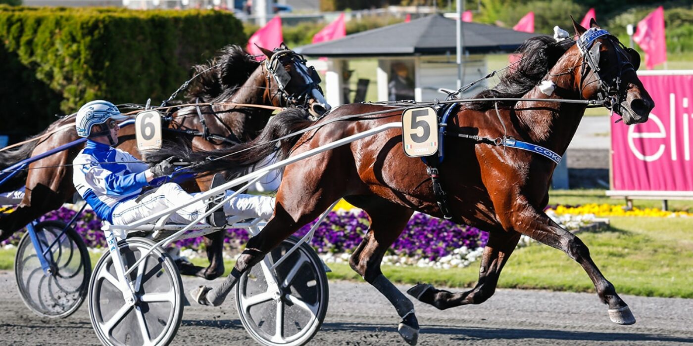 COKSTILE READY FOR THE 2021 ELITE RACE
