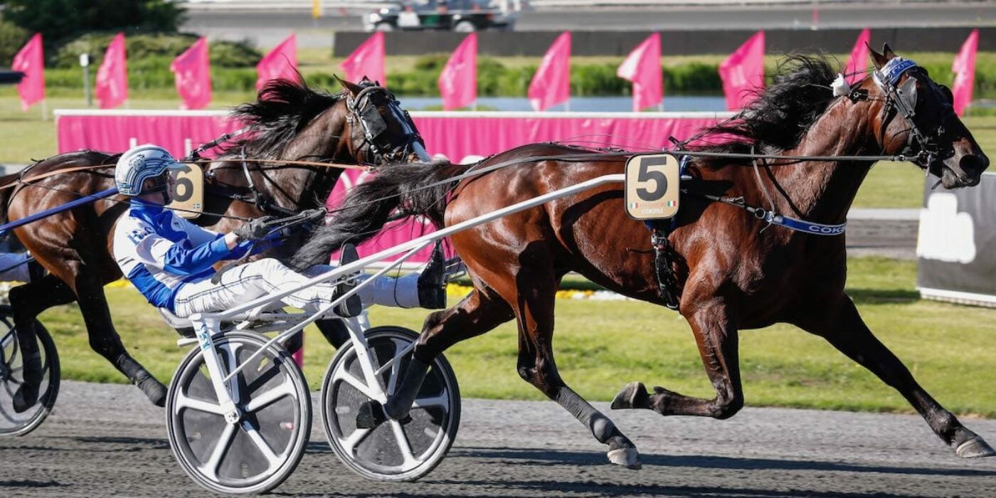 COKSTILE NEW WINNER IN THE ELITE RACE 2020