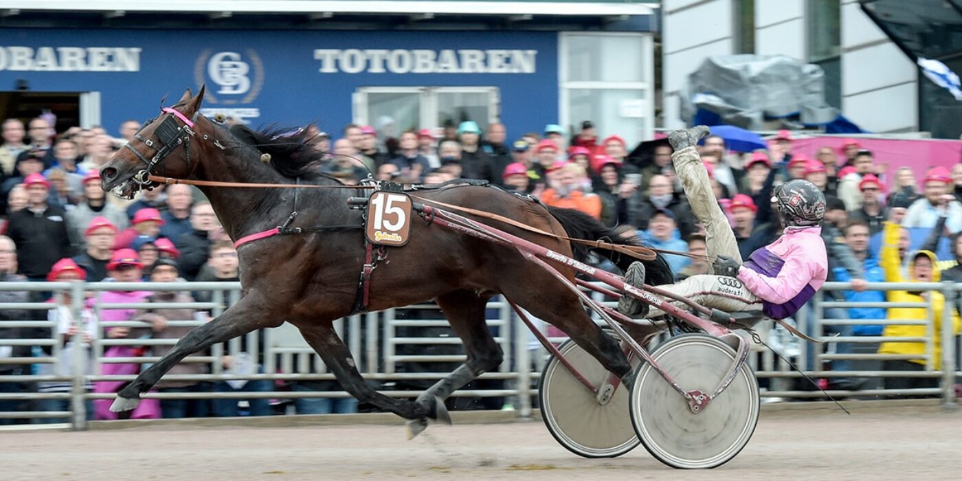 FRENCH SPEED SETTLED THE MILLION-DOLLAR RACE