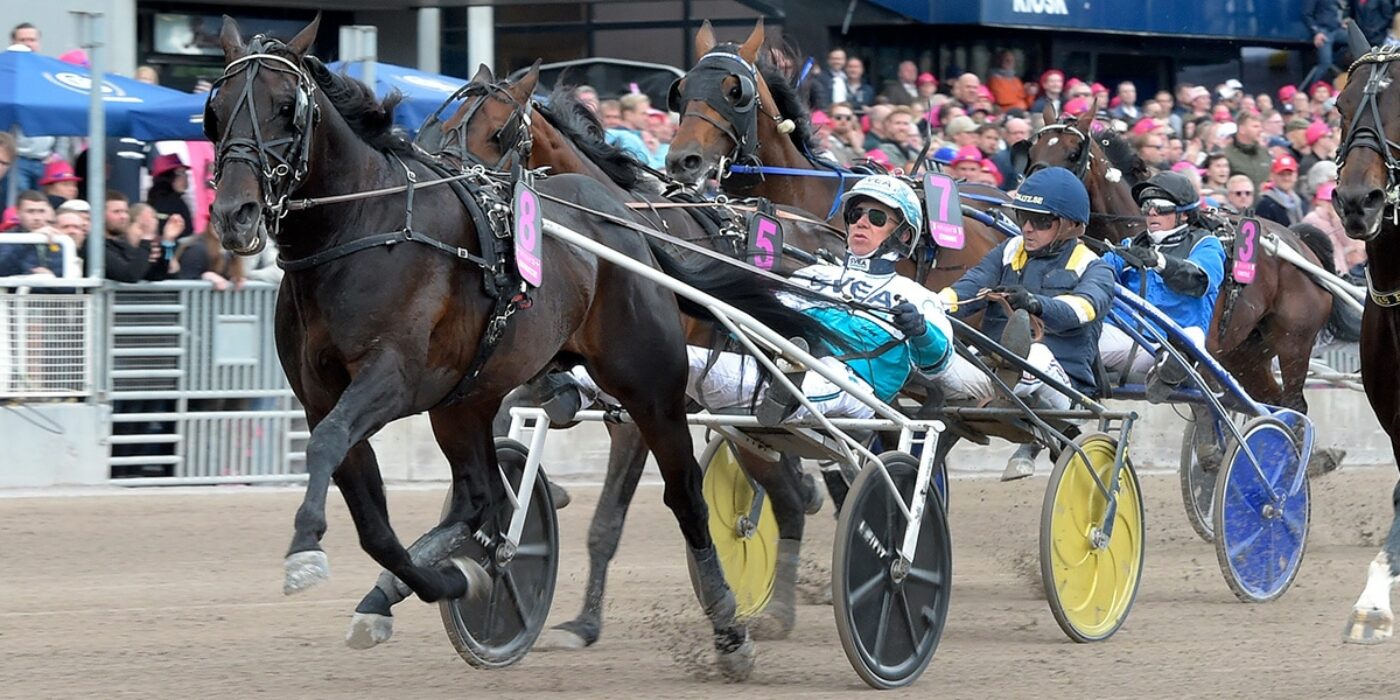 THE TRIALS DRAWN AND IT IS READY FOR THE ELITE RACE WEEKEND 2022 AT SOLVALLA