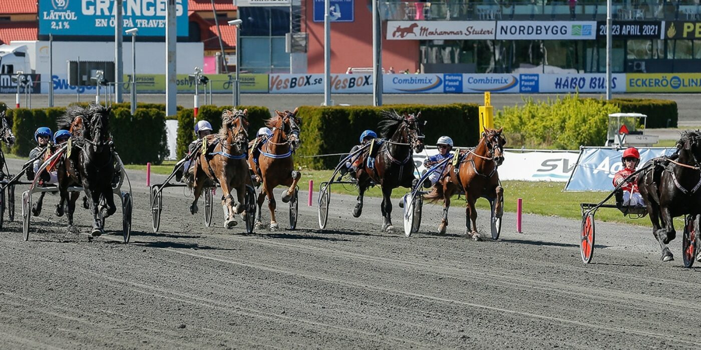 FIRST THREE HORSES INVITED TO THE 2022 ELITE COMPETITION