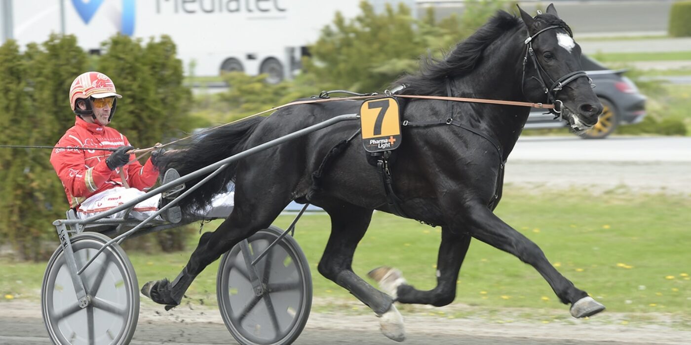 SIX NOUVEAUX PARTICIPANTS PRÊTS POUR LA COURSE DE VITESSE DE 2020
