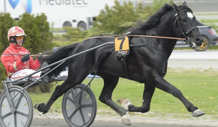 SIX NEW PARTICIPANTS READY FOR THE 2020 SPEED RACE