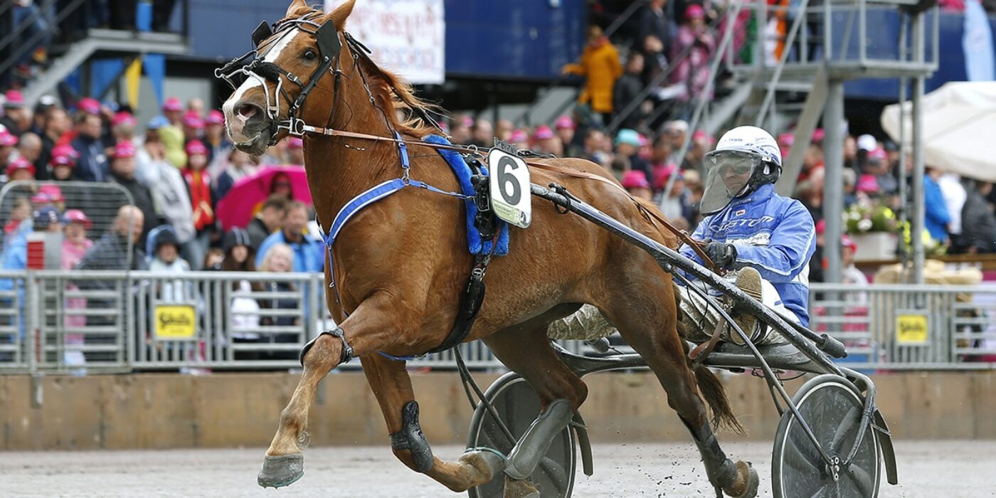 JOSVEIS REMPLACE VÄLÄHDYS DANS LE COMBAT D'ÉLITE