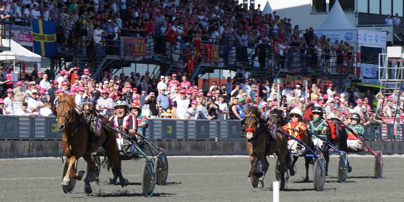 LES PONEYS S'ATTAQUENT AU WEEK-END DE COURSE DE L'ÉLITE 2022