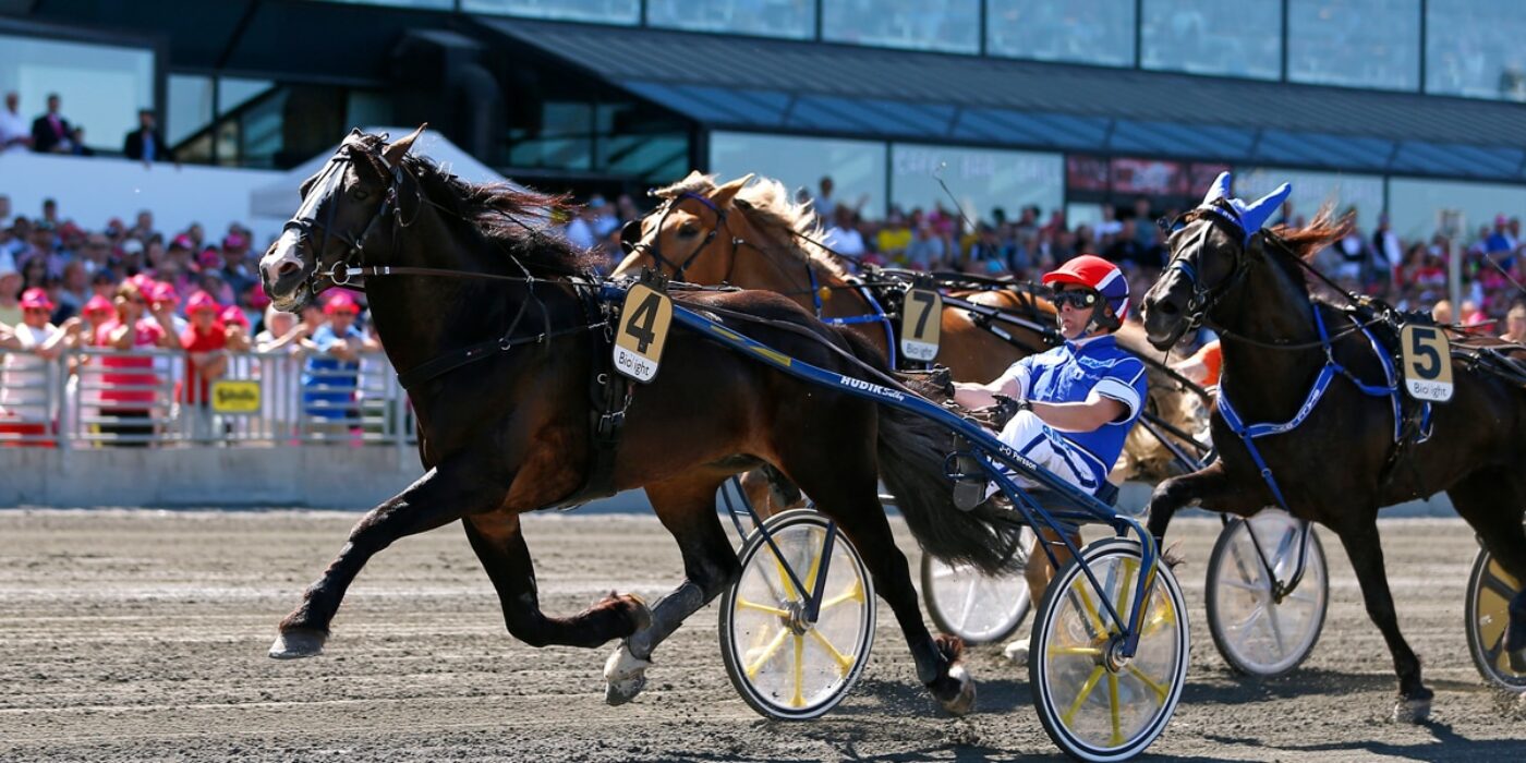Moon Prince A.M., Lome Brage and Polara ready for Elitkampen