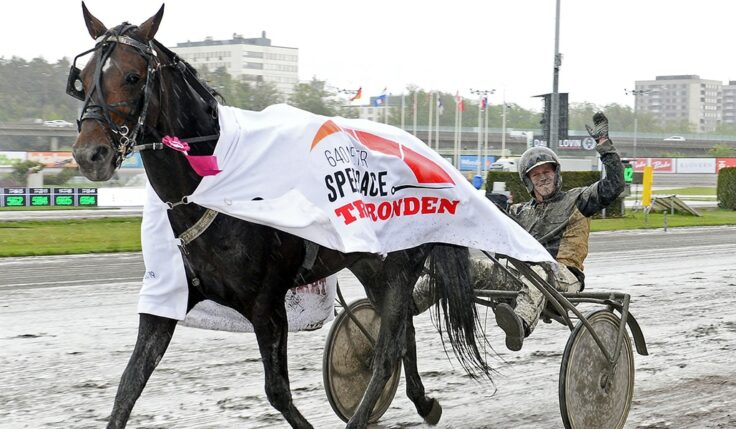 HOT AND COLD INVITATIONS TO SPEEDRACE 2020 AT SOLVALLA