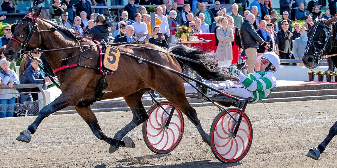 MISTER F DAAG PRÊT POUR LA COURSE D'ÉLITE EN 2022