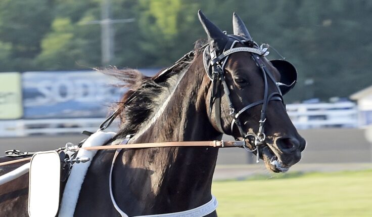 MAKETHEMARK READY FOR THE 2020 ELITE RACE