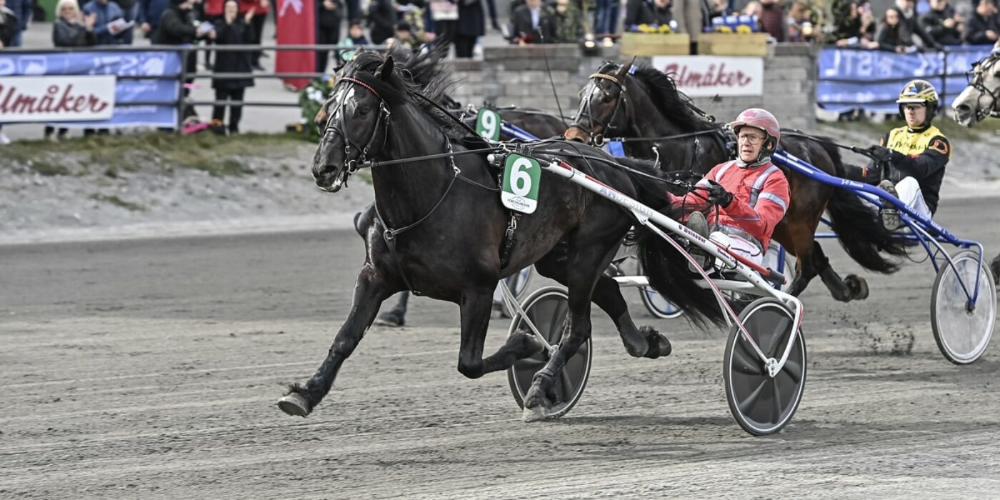 TWO NEW HORSES READY FOR THE 2022 ELITE RACE