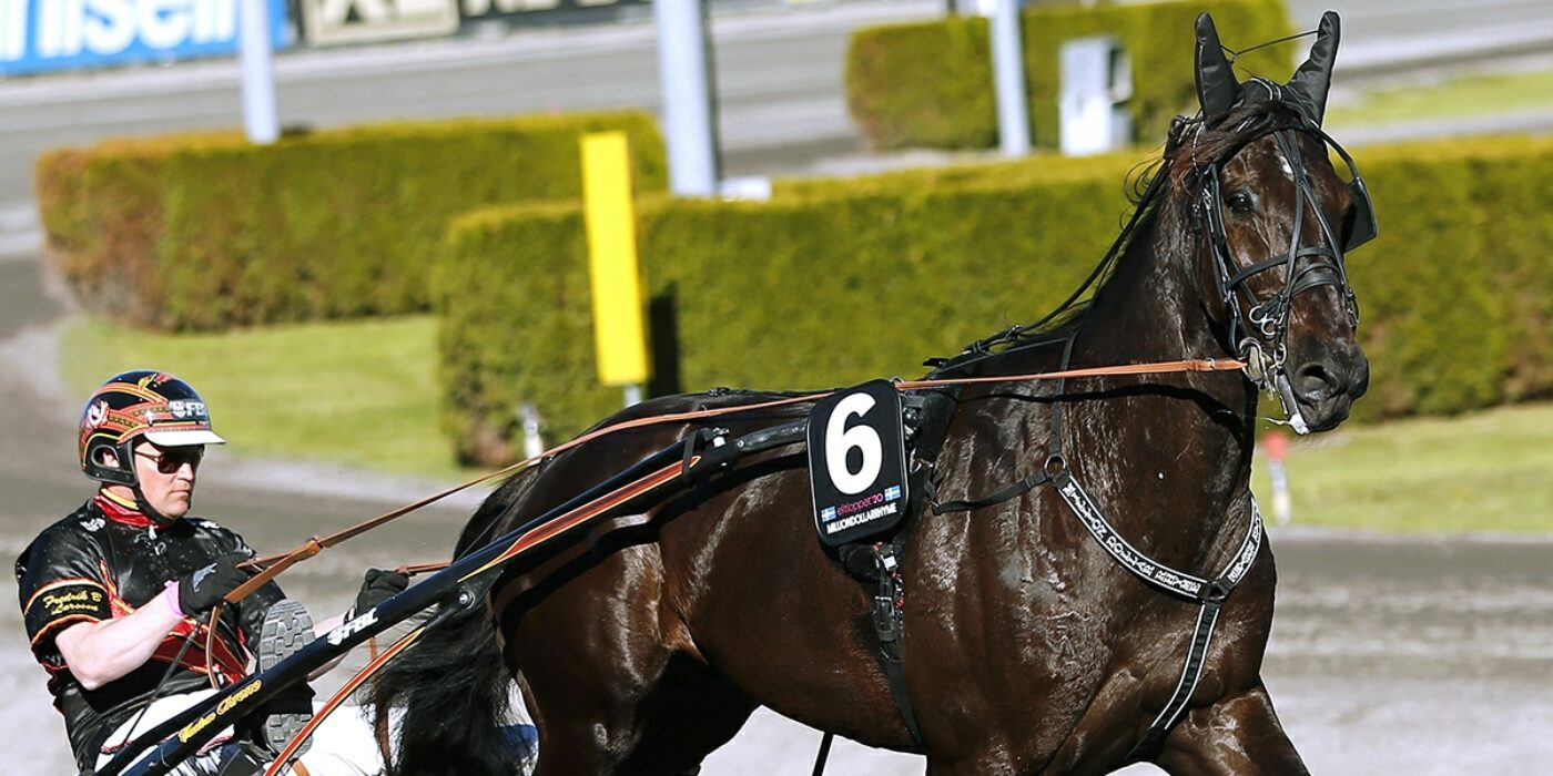 MILLION DOLLAR RHYME READY FOR THE 2021 ELITE RACE