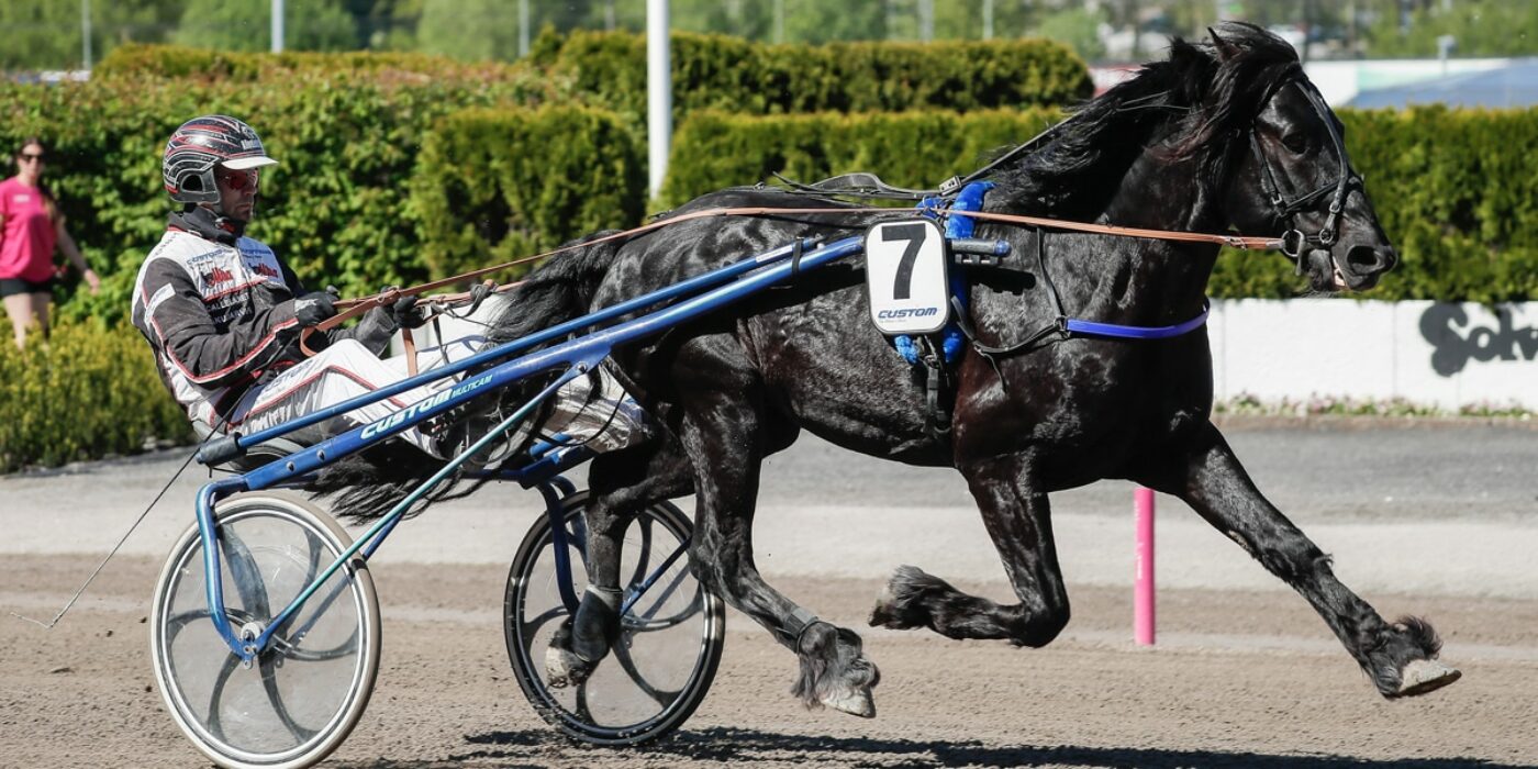 UUSIMAA IS COMING TO THE ELITE COMPETITION IN 2022