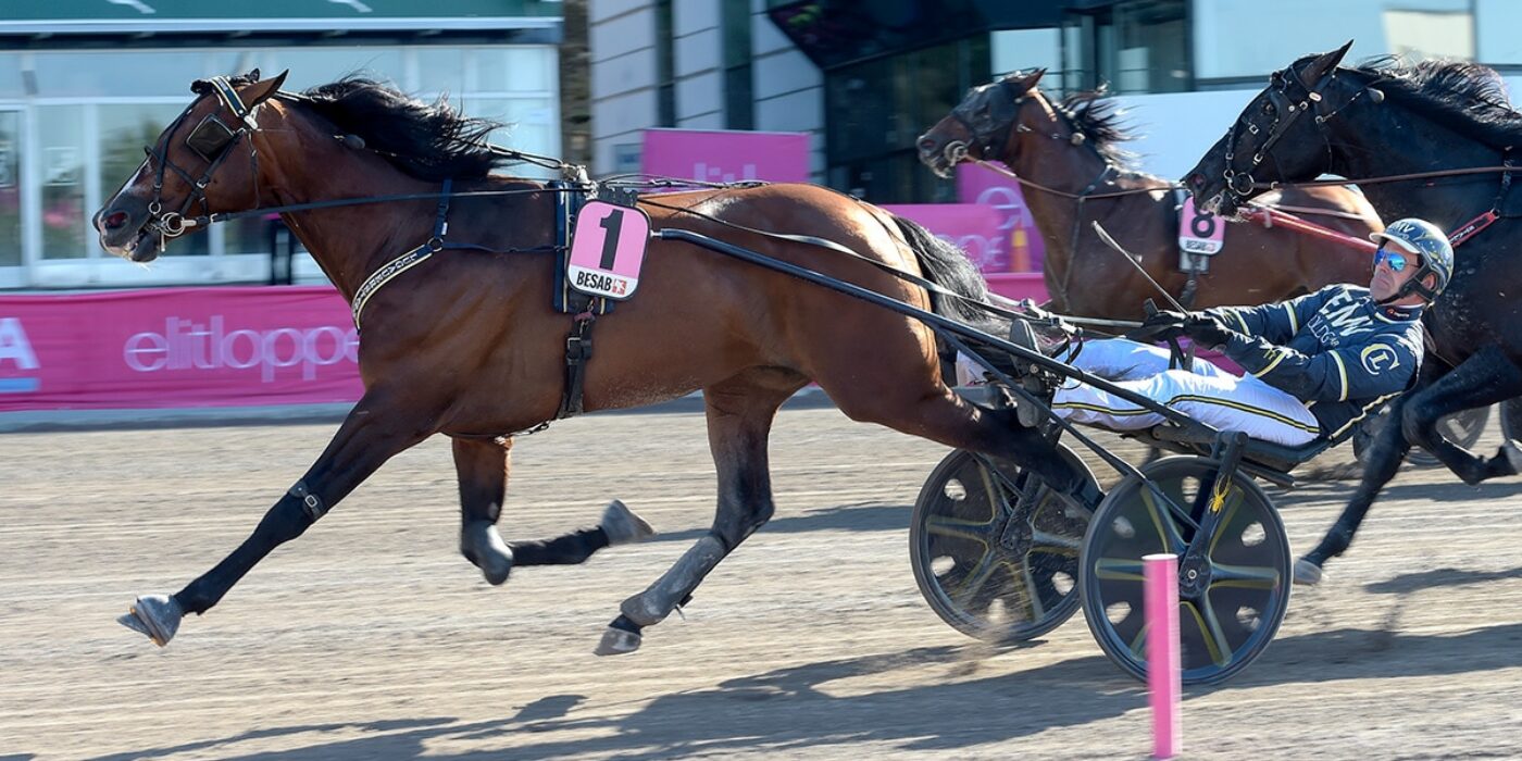 NIGHT BRODDE BECAME THE PEOPLE'S HORSE AND TAKES THE LAST PLACE IN THE ELITE RACE IN 2022