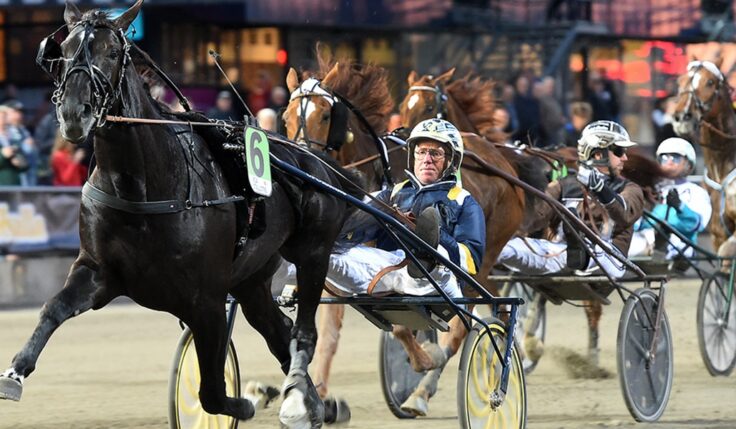 DOUBLE CHANCES TO WIN AN ELITE RACE PLACE