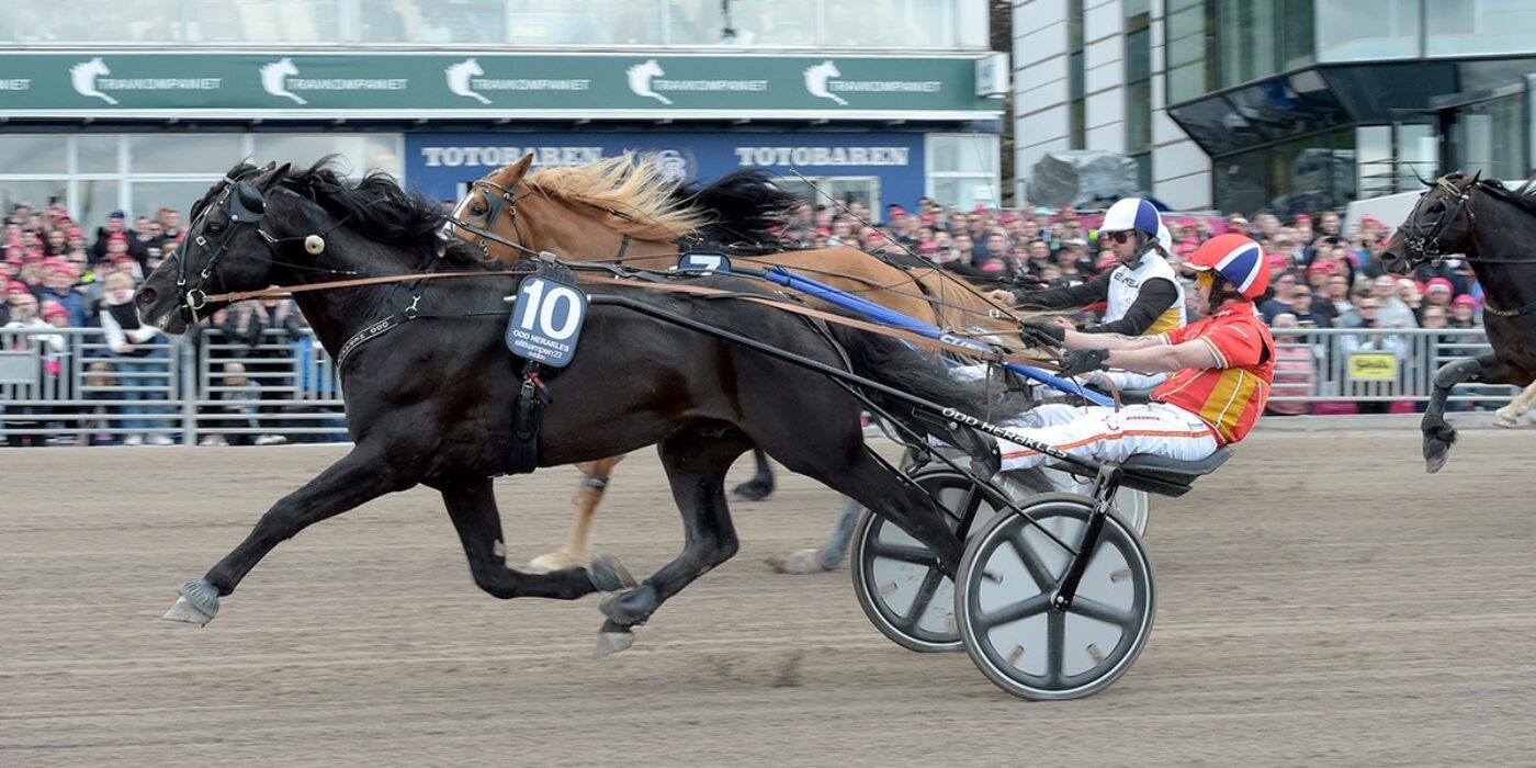 ODD HERAKLES TOOK THIRD STRAIGHT VICTORY IN THE ELITE MATCH