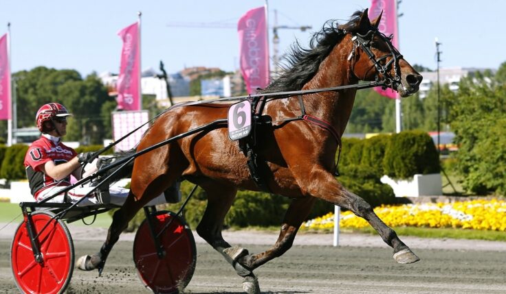 Finlandia Ajo winner to Elitloppet again this year