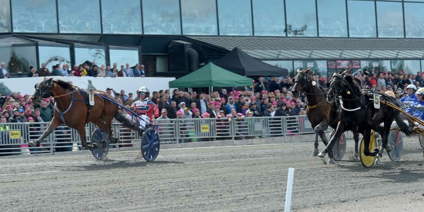 Queer Fish sprinted home Sweden Cup 2019