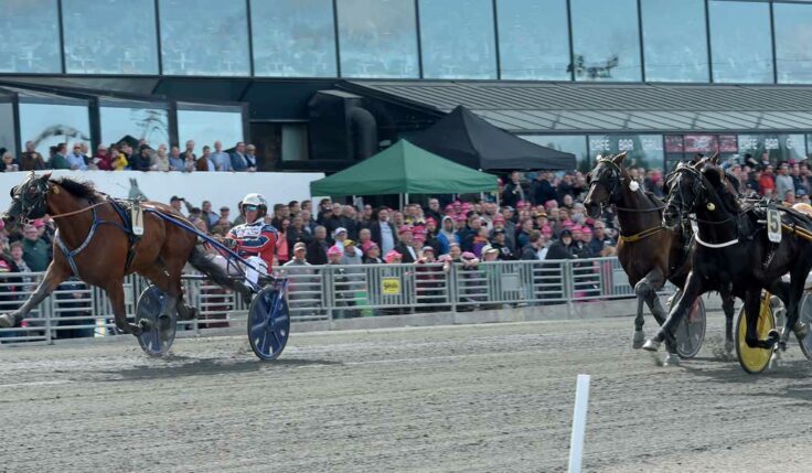 Queer Fish sprinted home Sweden Cup 2019
