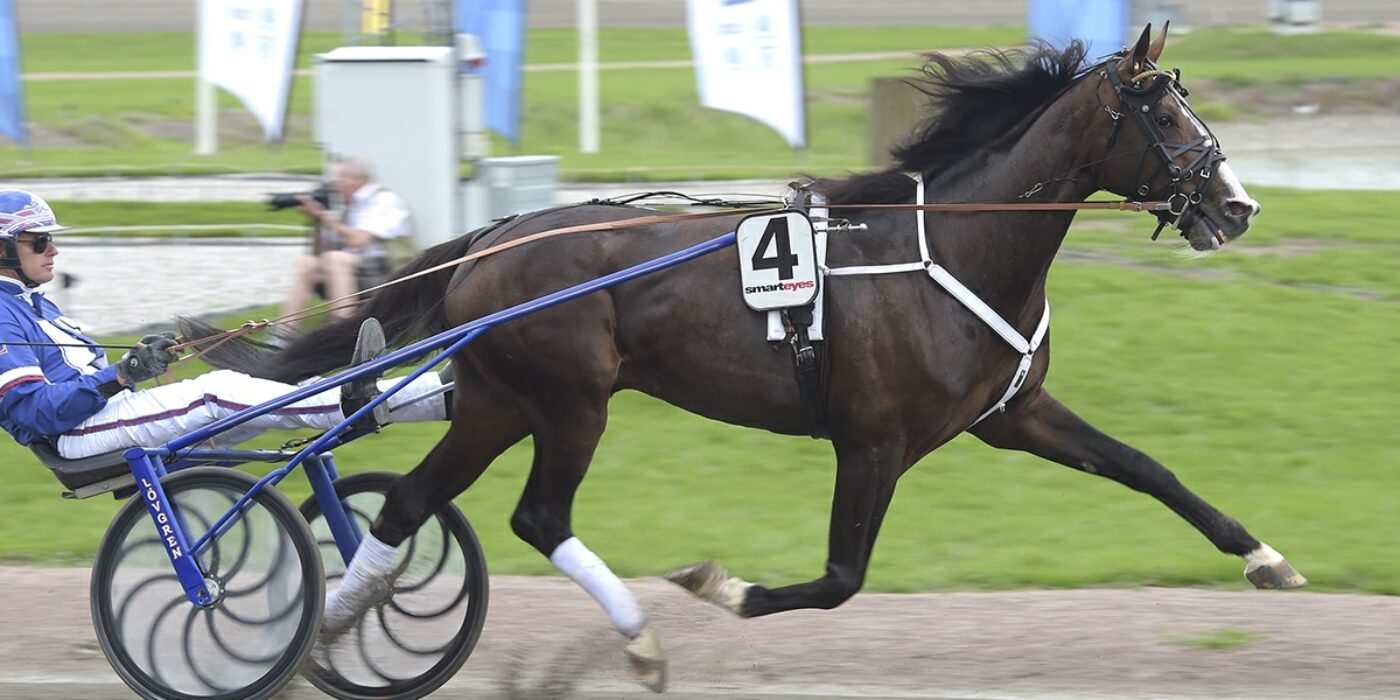 RACING MANGE READY FOR THE 2020 ELITE RACE