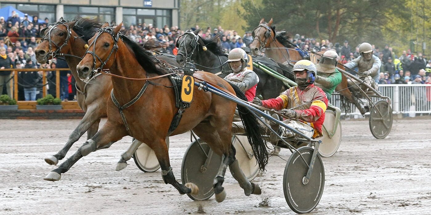 FINLANDIA-AJO WINNER TO THE ELITE RACE