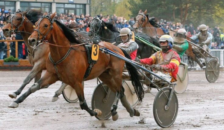 COOPERATION BETWEEN FINLANDIA-AJO AND ELITLOPPET TO BE EXPANDED