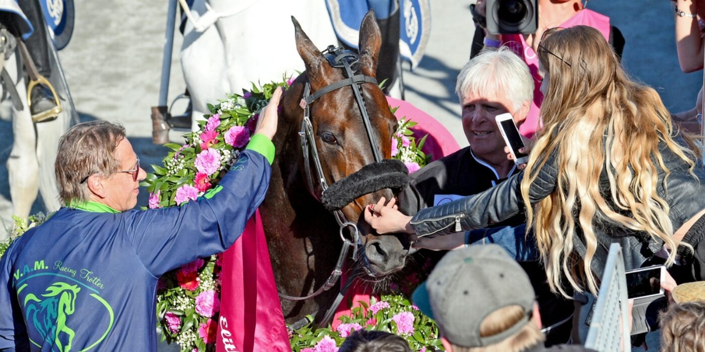 Start lists and facts about the horses