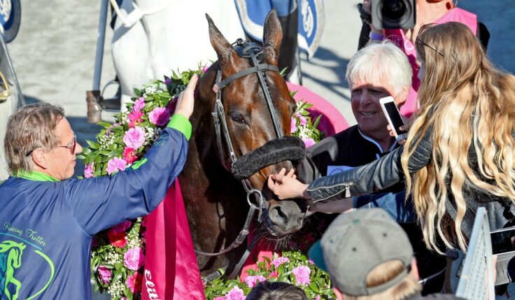 Start lists and facts about the horses