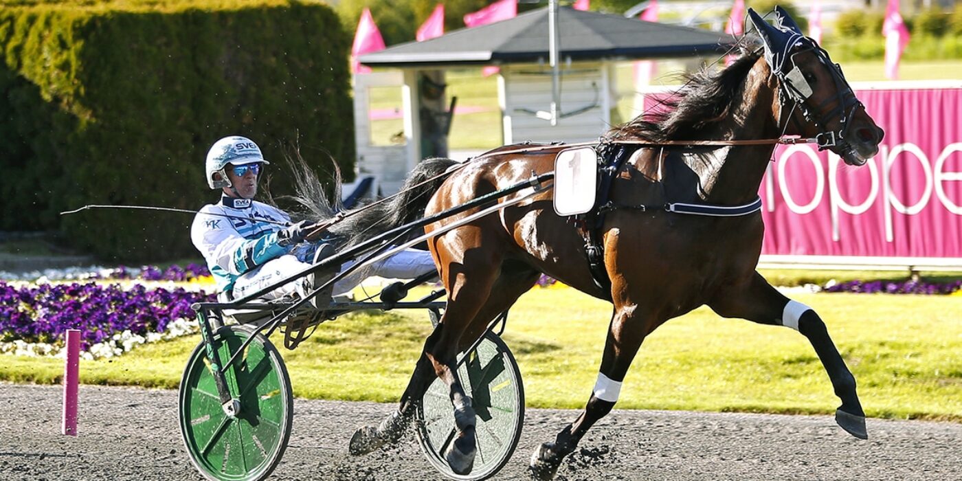 SEISMIC WAVE READY FOR THE 2021 ELITE RACE