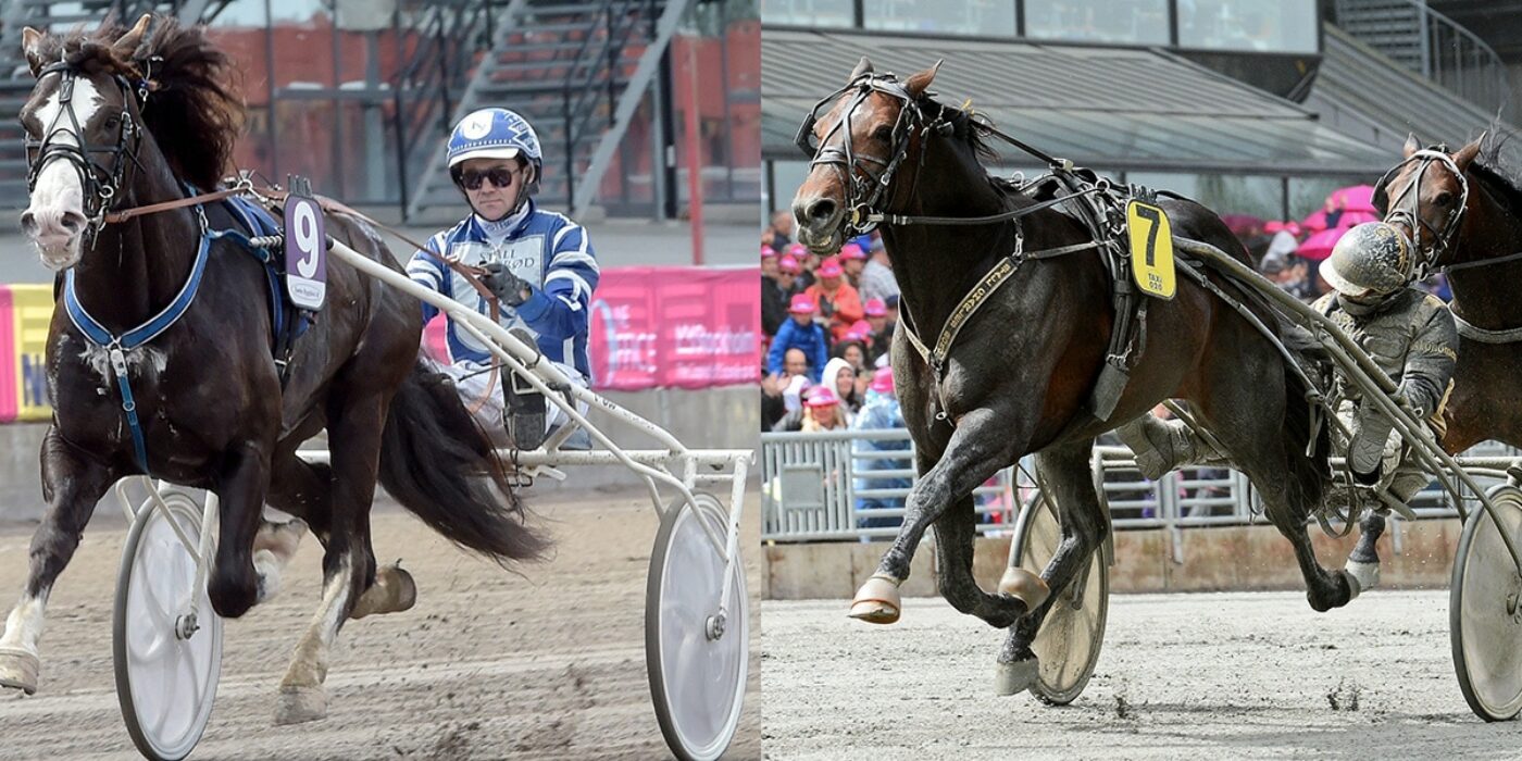 THE HORSES READY FOR THE 2022 SPEED RACE AT SOLVALLA