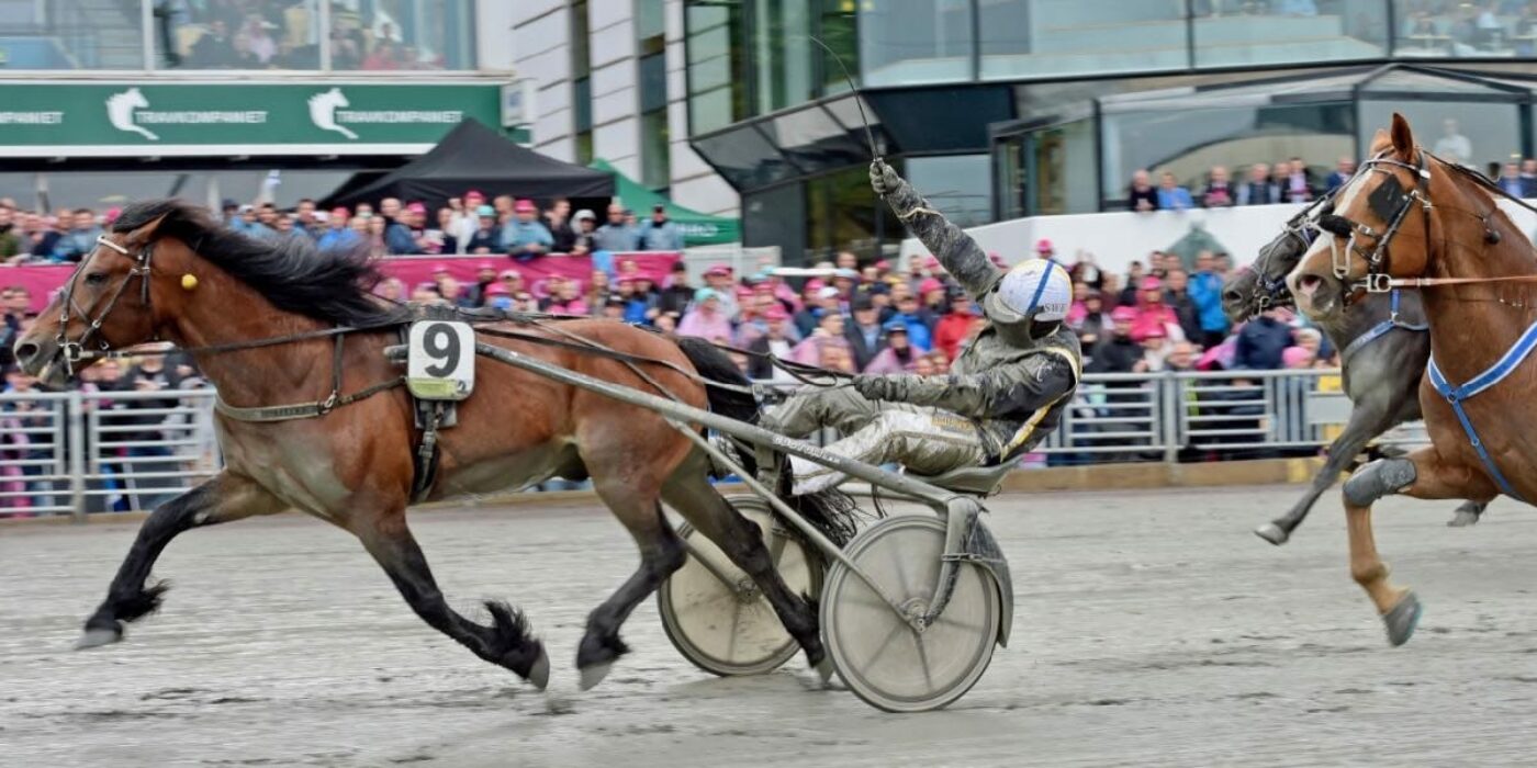Tangen Haap winner in Elitkampen