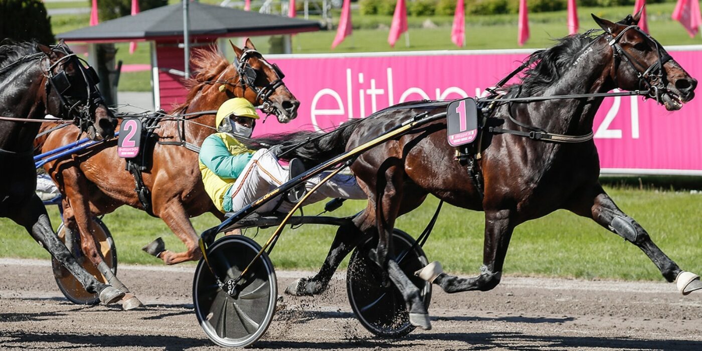VIVID WISE AS READY FOR THE 2023 ELITE RACE