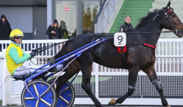 VIVID WISE AS READY FOR THE ELITE RACE 2020