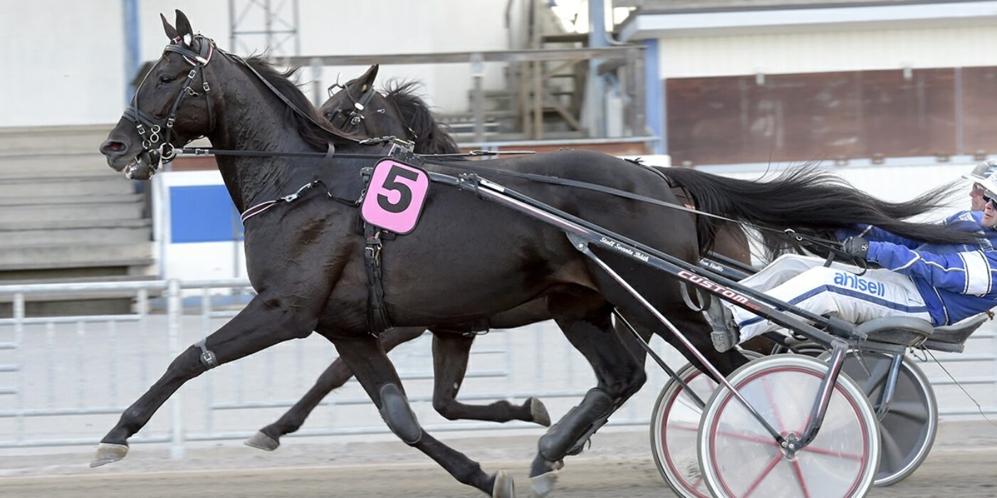 VERY KRONOS READY FOR THE 2021 ELITE RACE