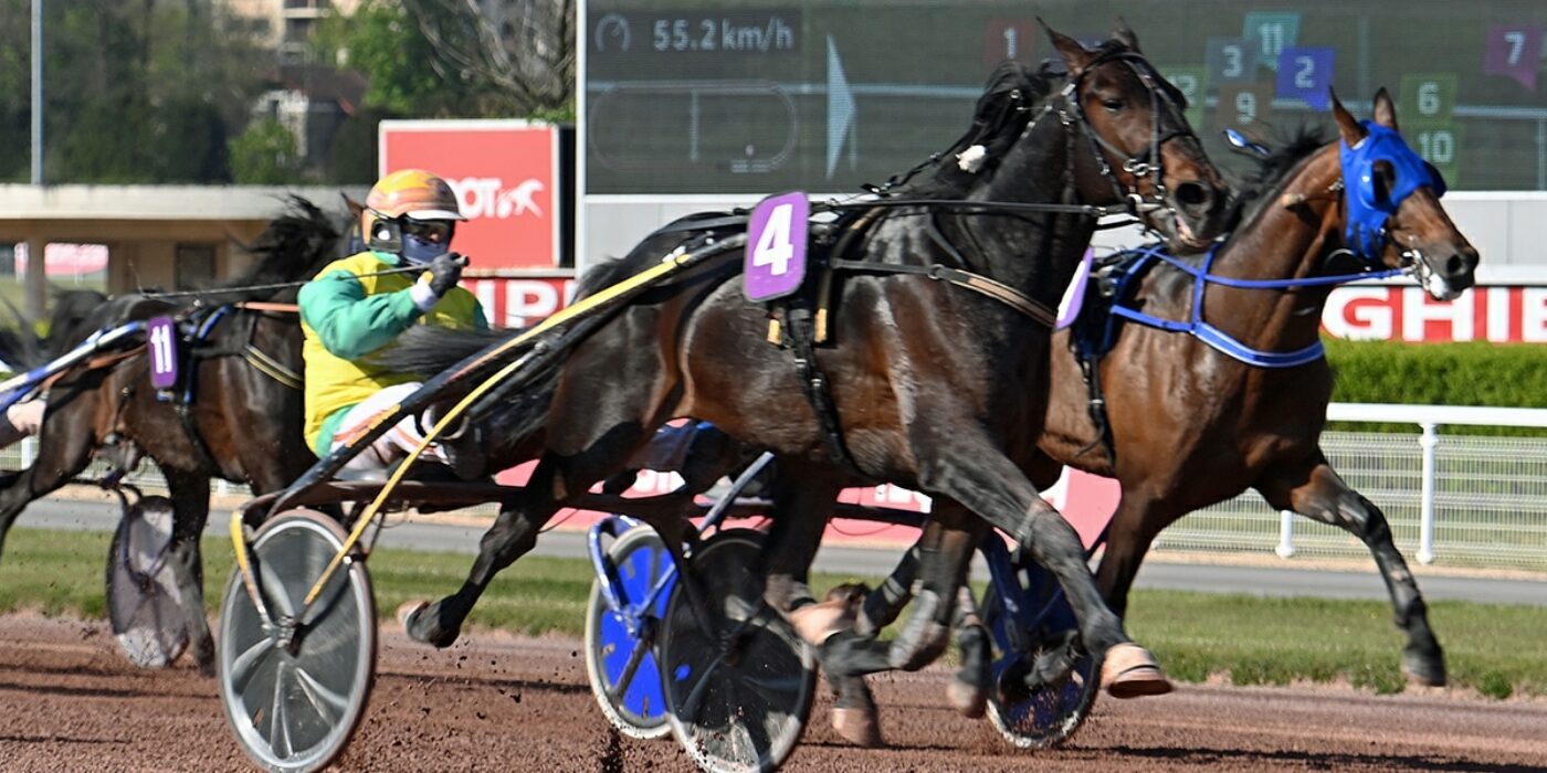 VIVID WISE AS READY FOR THE ELITE RACE IN 2021