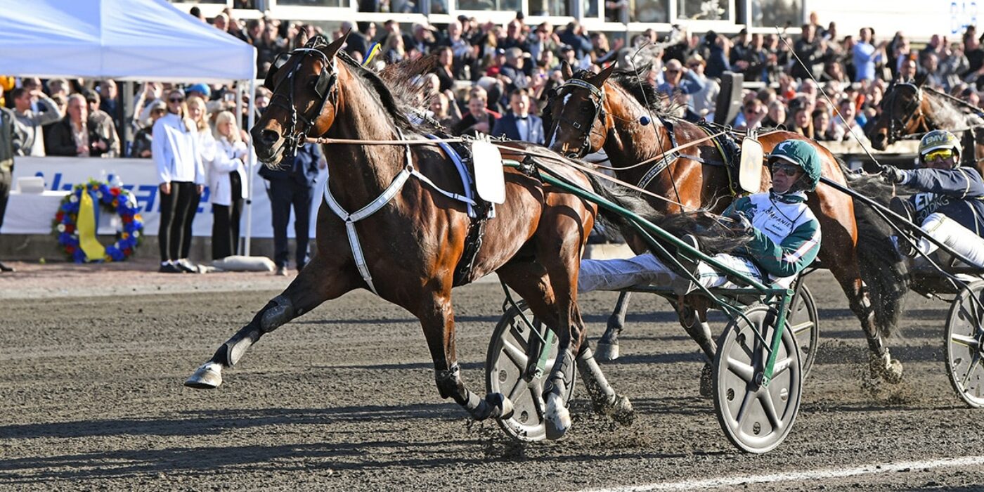 QUI EST PRÊT POUR LA COURSE D'ÉLITE DE 2022 ?