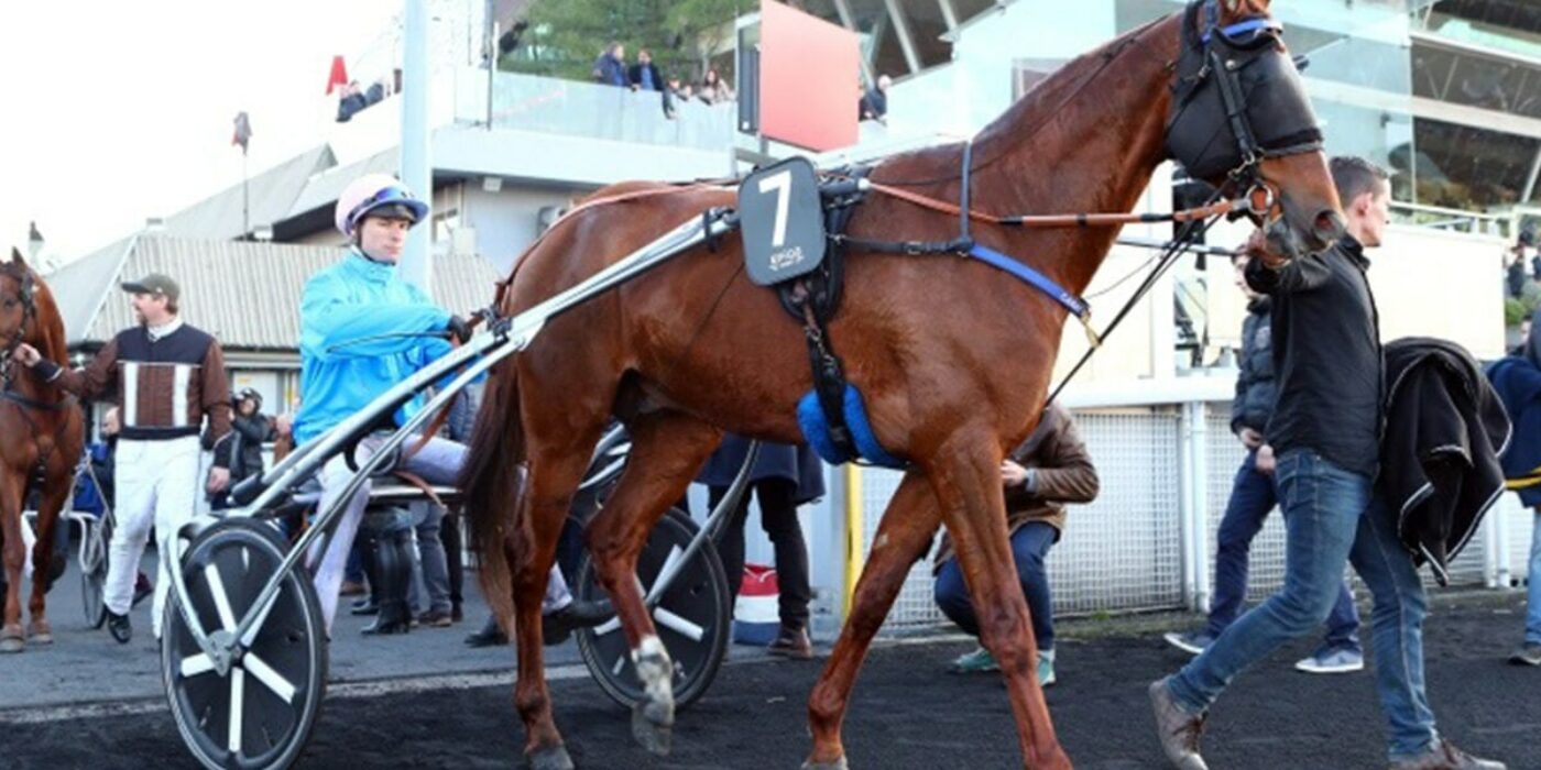 Carat Williams has scratched new courage