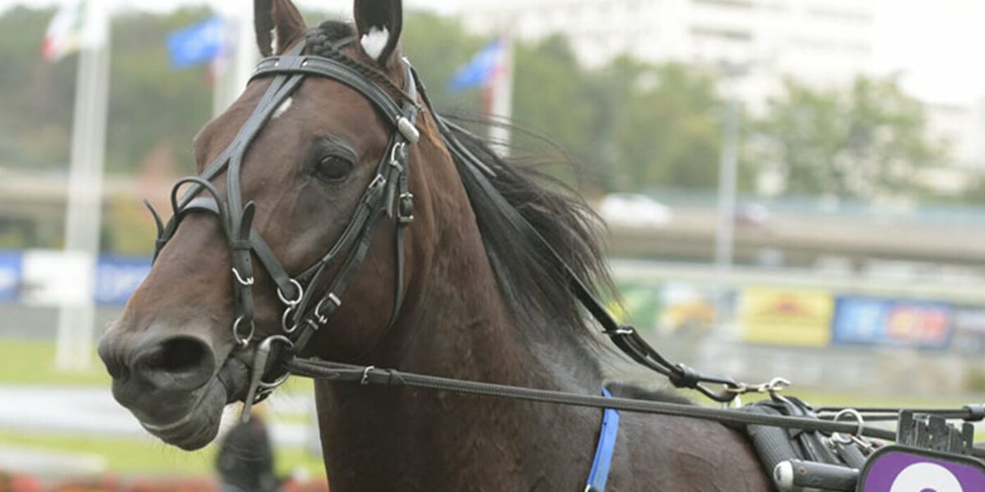 Cokstile invited to Elitloppet