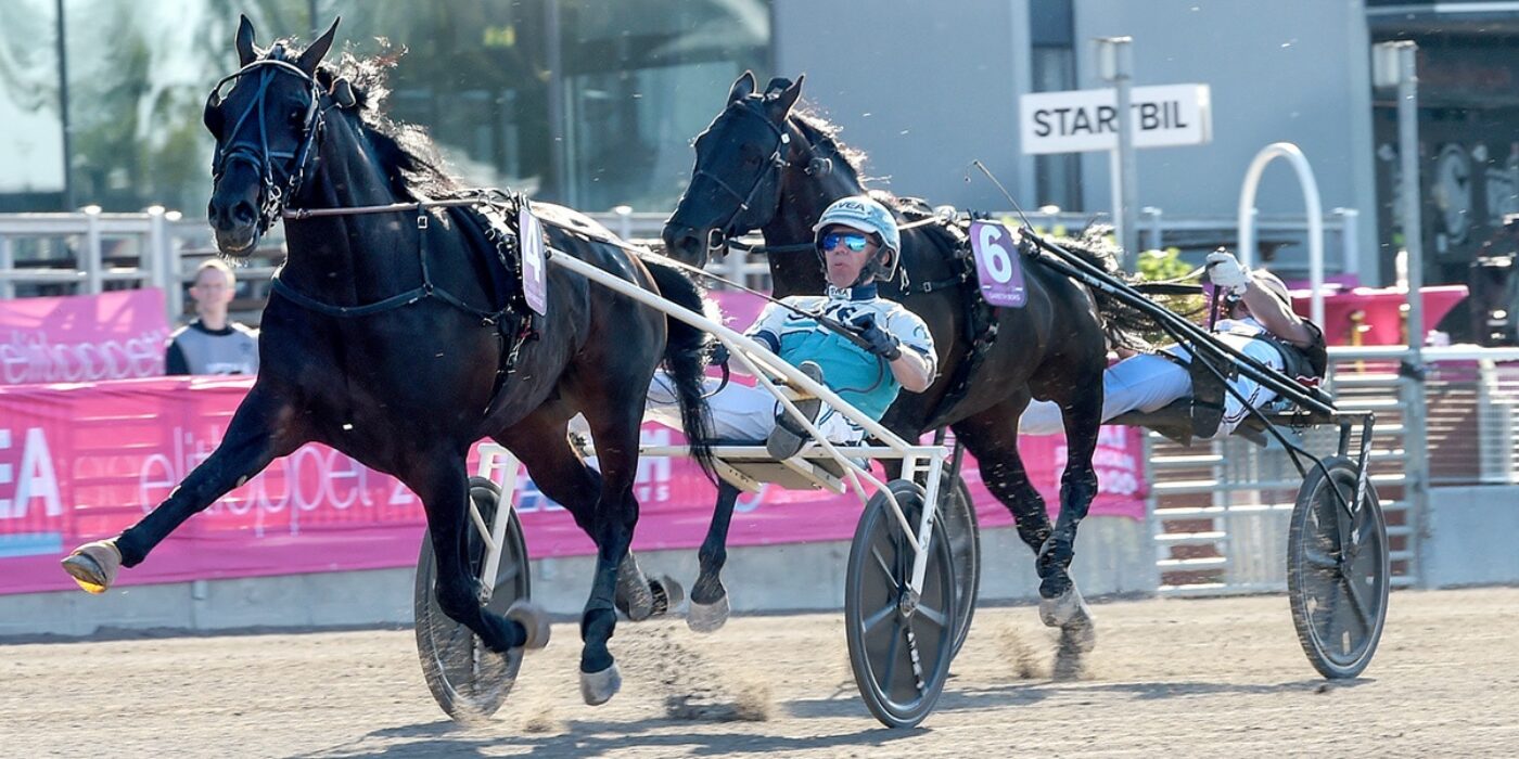 DON FANUCCI PRÊT POUR LA COURSE D'ÉLITE EN 2022