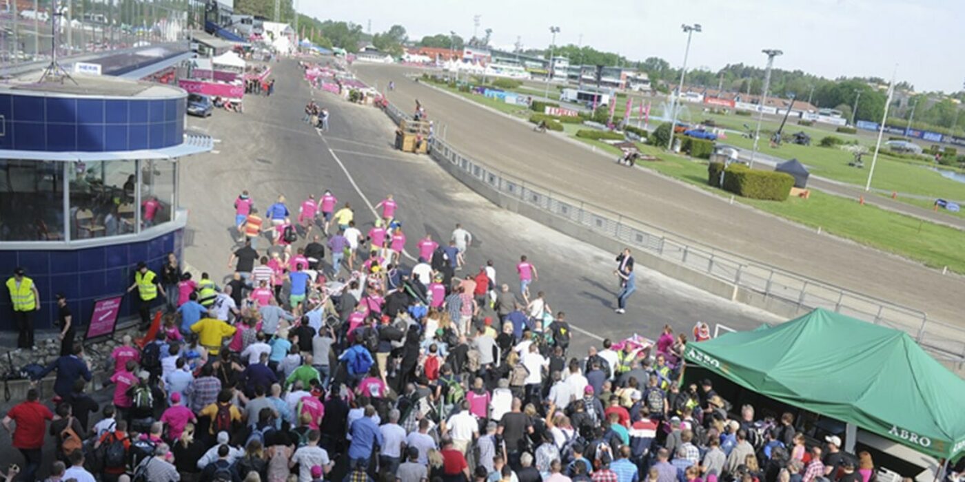 The seven golden rules of Elitloppet