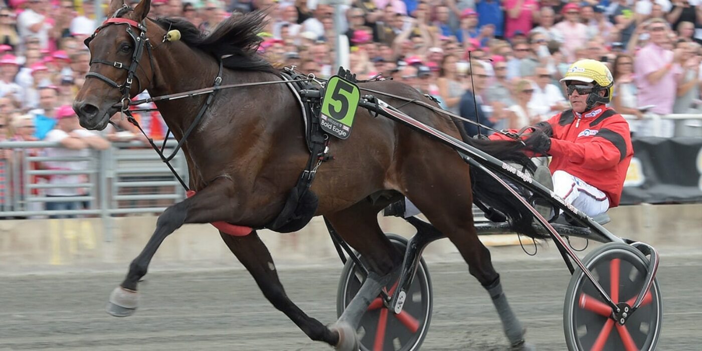 Elitlopp field 2018