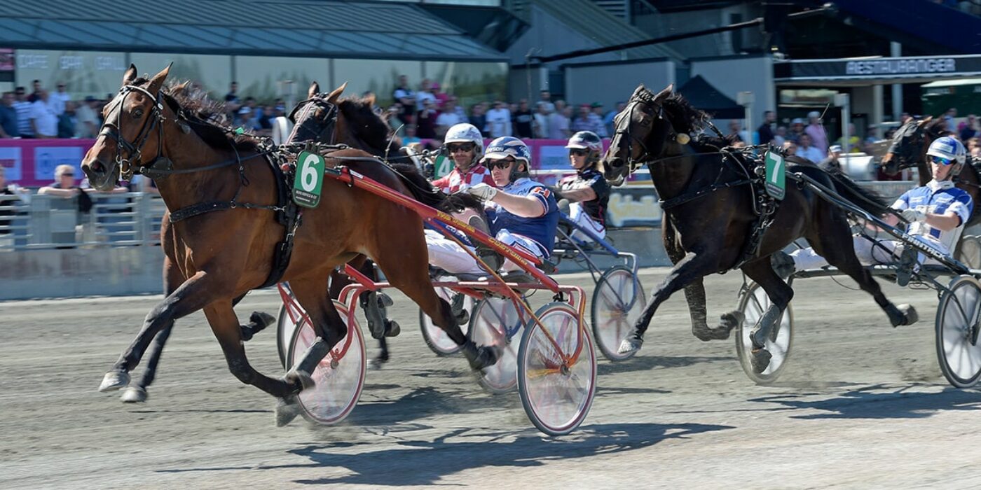 The Elitlopp party is on