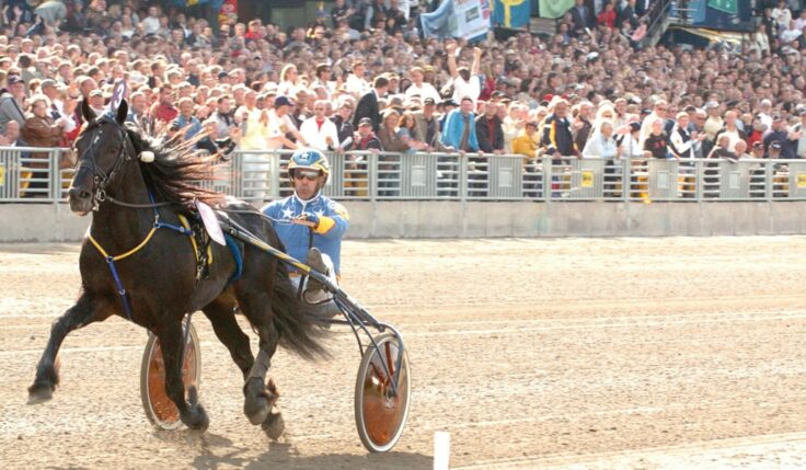 Major investment in coldblood Elitlopp