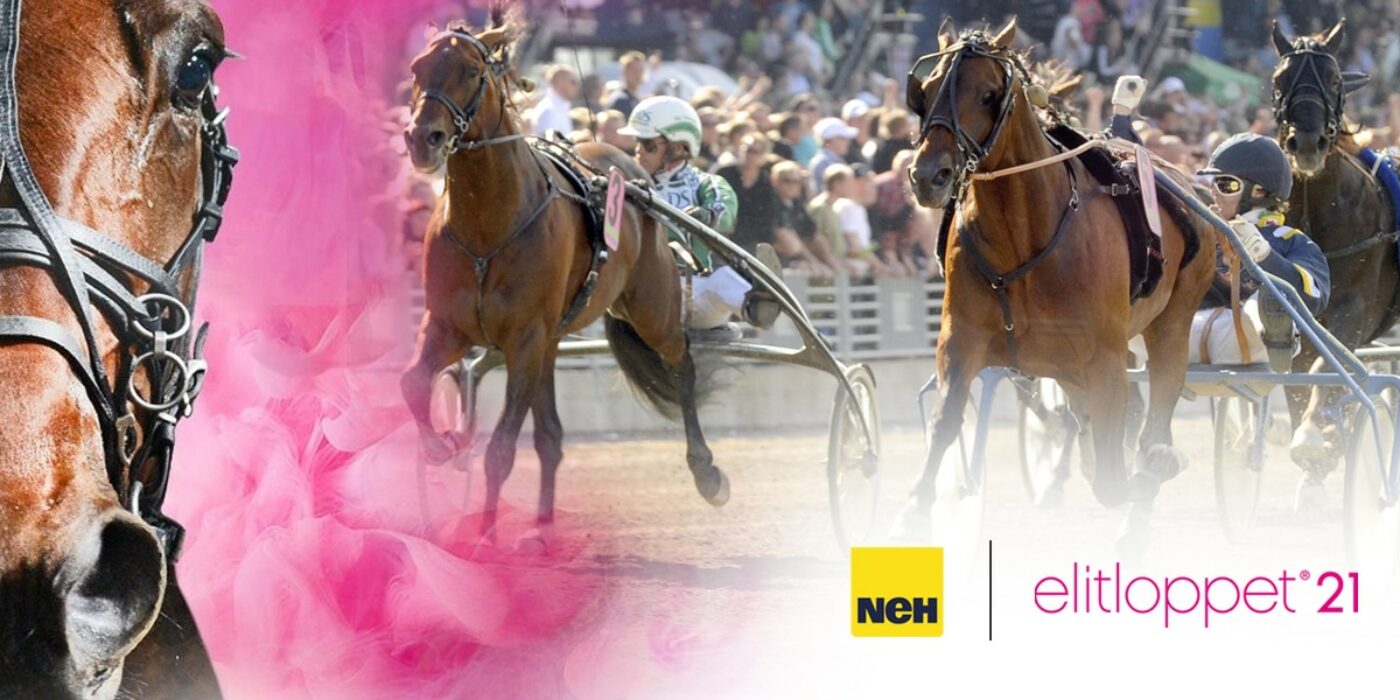 NeH nouveau sponsor principal d'ELITLOPPET