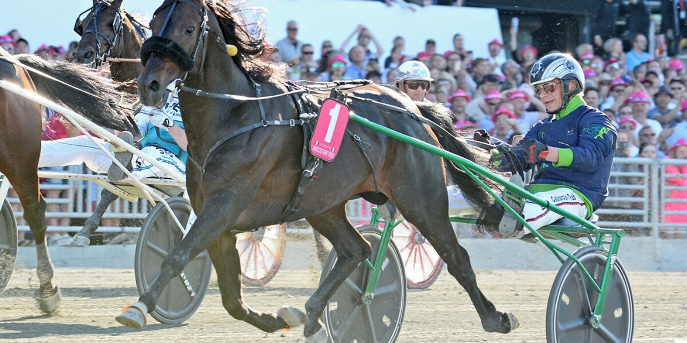 Elitloppet to Ringostarr Treb