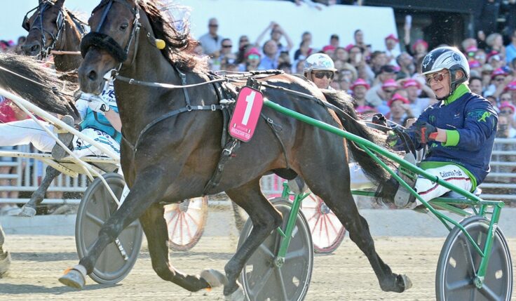 Elitloppet to Ringostarr Treb