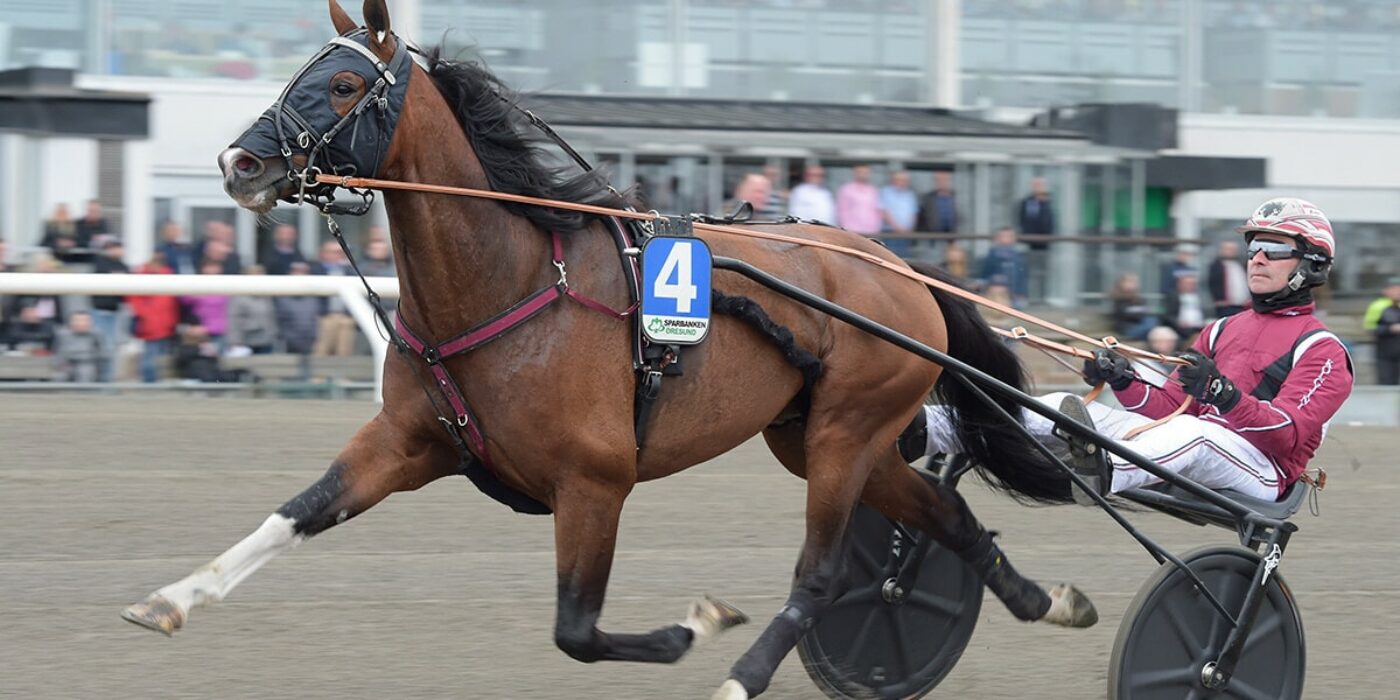 Rajesh Face invited to Elitloppet