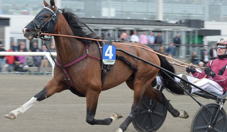 Rajesh Face invited to Elitloppet